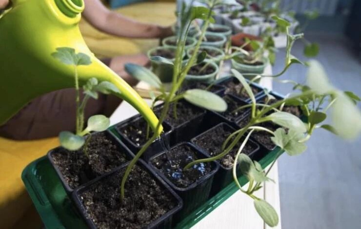 Фото ru.depositphotos