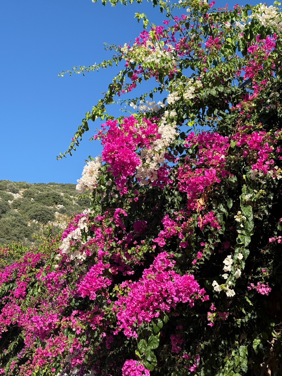 Солнечный Калкан