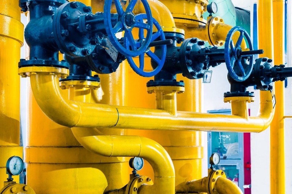    Фото © Freepik / fanjianhua