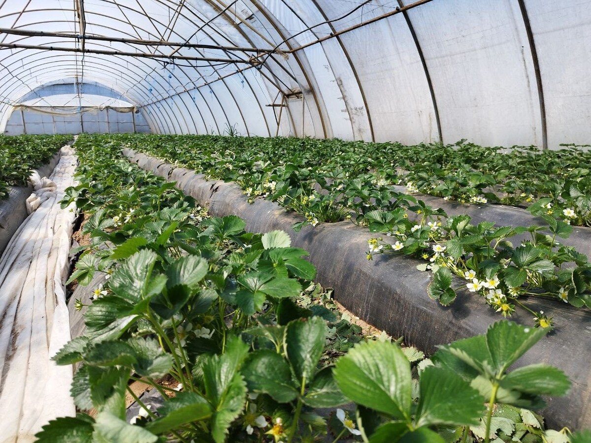    Фото: пресс-служба администрации Новокаховского ГО