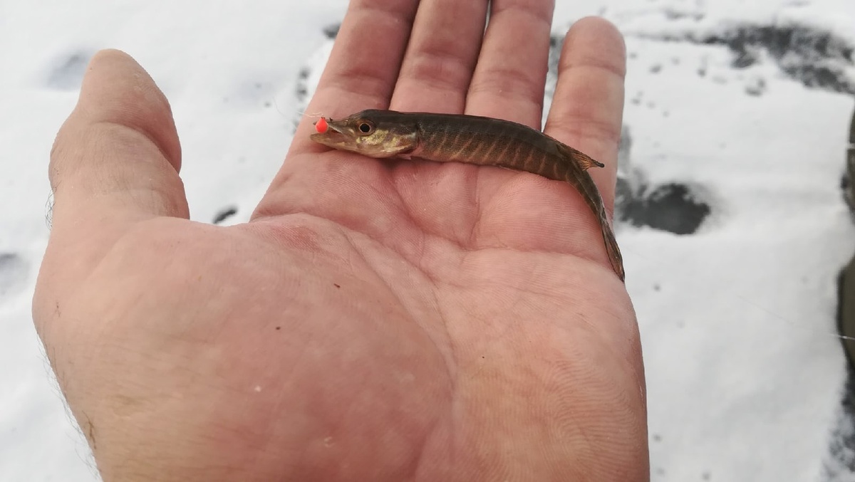 размер имеет значение