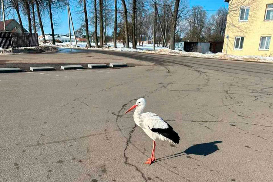    Фото: Анатолий / Telegram-канал Метеовайб