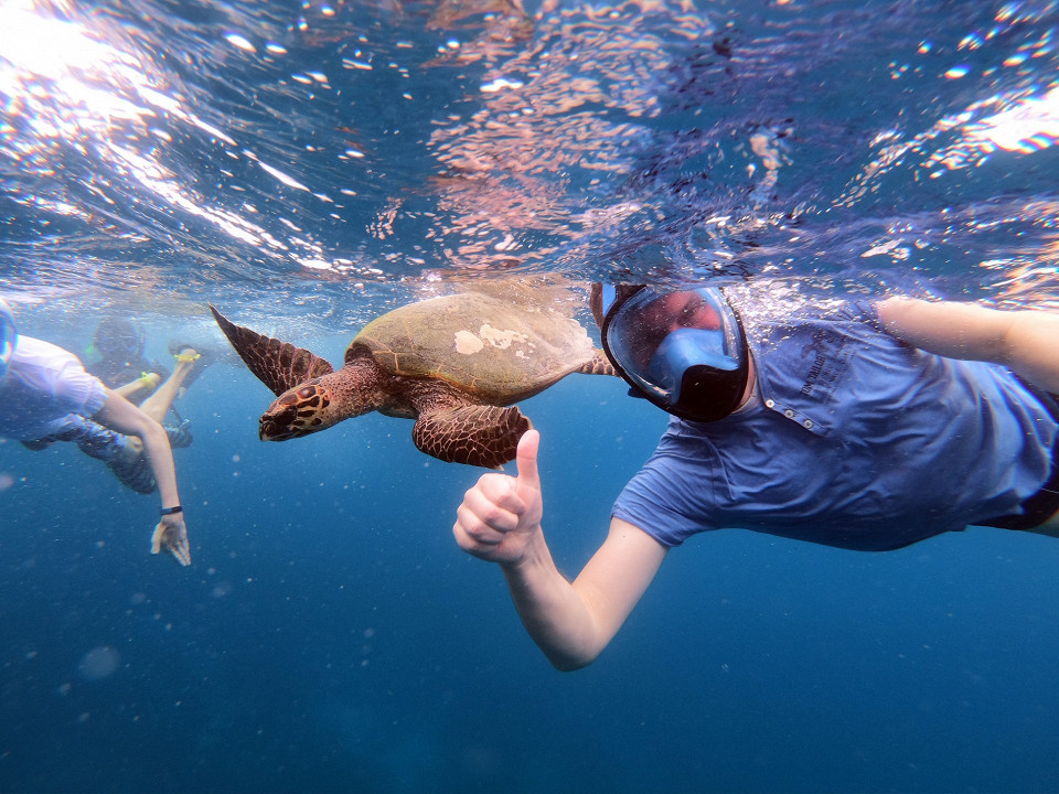 Frecca, Shutterstock
