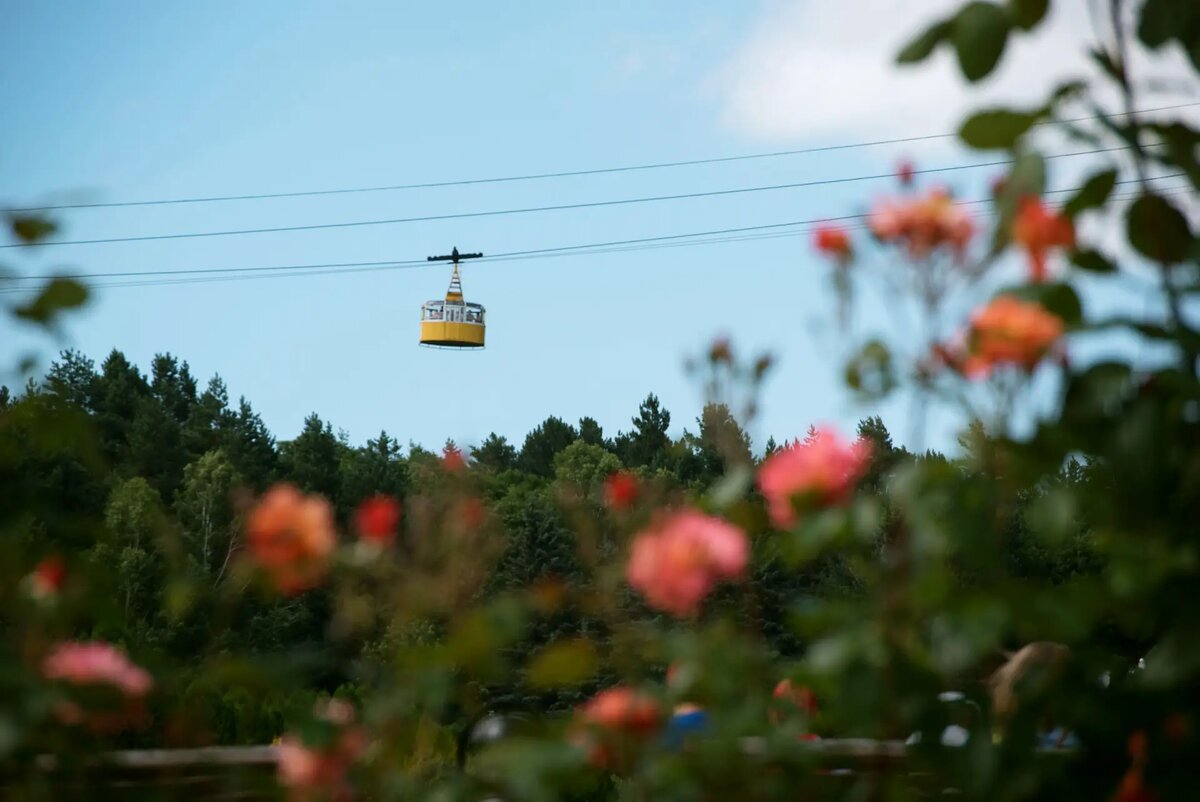     © РИА Новости. Антон Подгайко