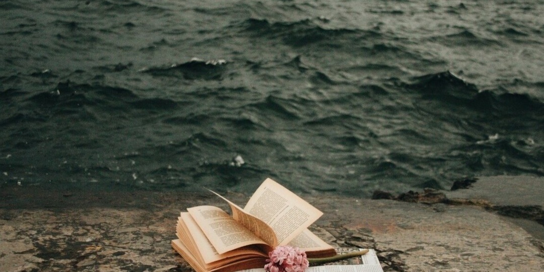 Книги на обочине # 5. Тим Северин.