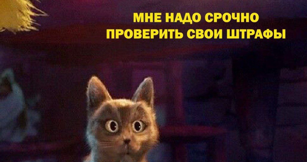 Опять штраф