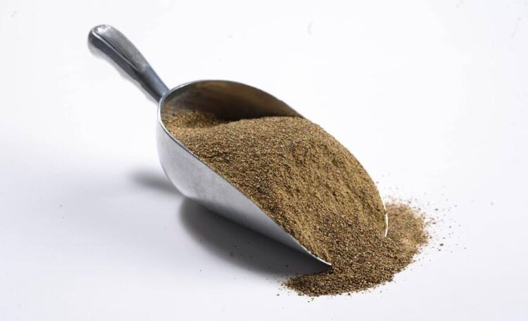    Фото: Canola Council of Canada