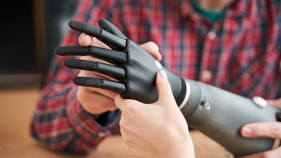 Фото: Olena Yakobchuk / Shutterstock