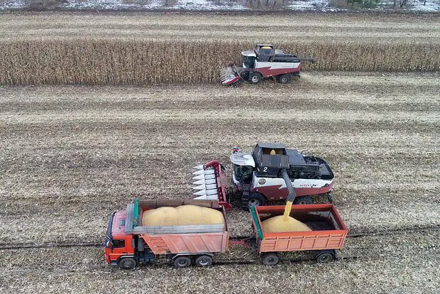    Фото: lenta.ru Ксения Ситникова