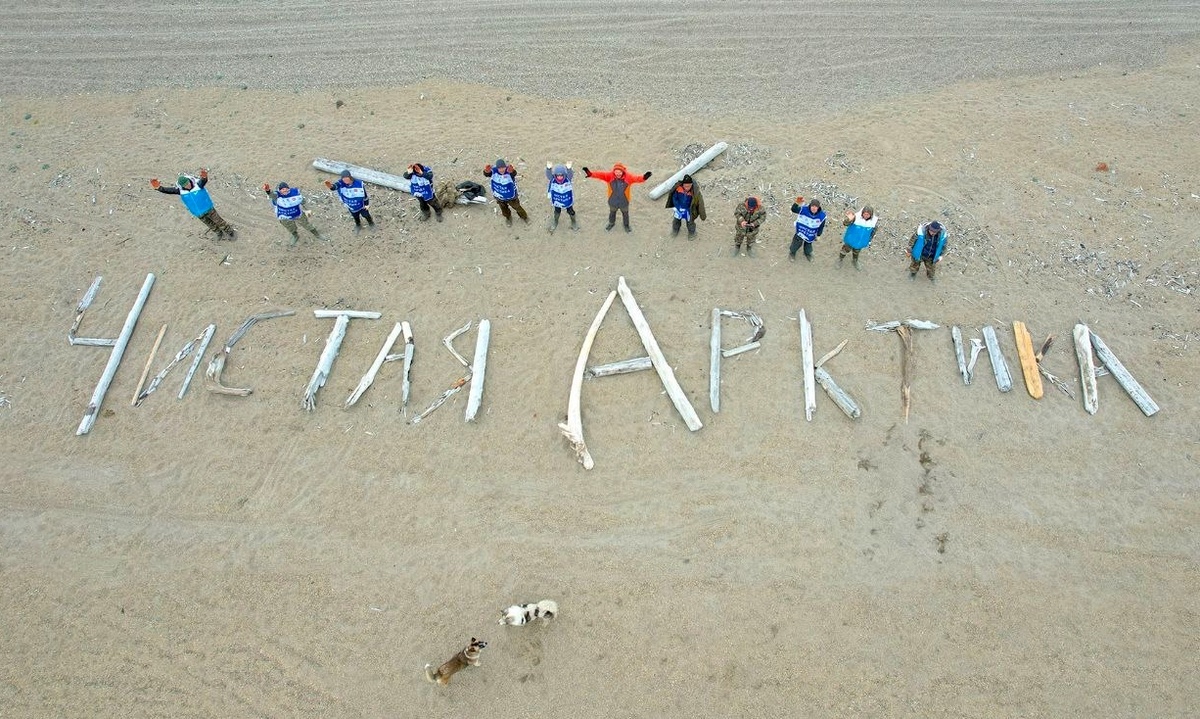 Источник: vk.com/clean_arctic 
