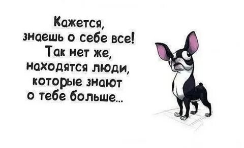 Яндекс.Картинки