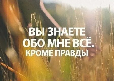 Яндекс.Картинки