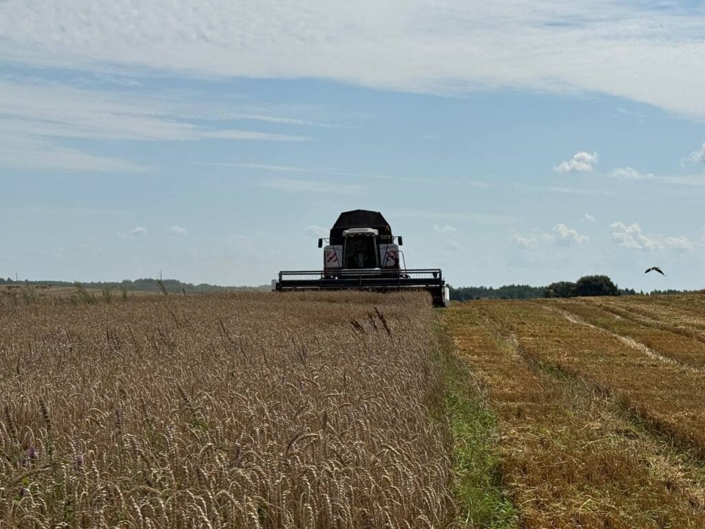    Фото: t.me/anohin67