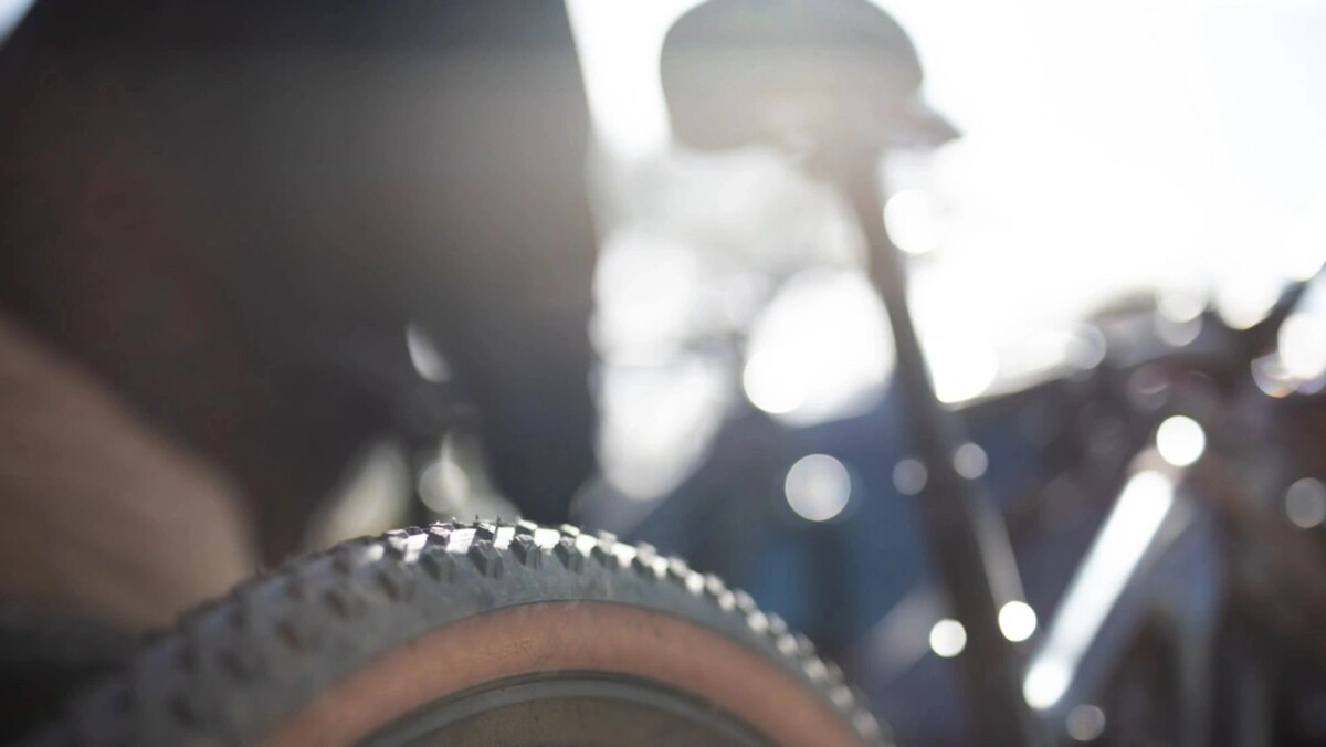    Фото: LIGHTITUP/Shutterstock/Fotodom