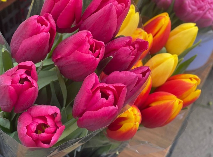 Цветы к 8 марта: как выбрать и сохранить хорошее настроение