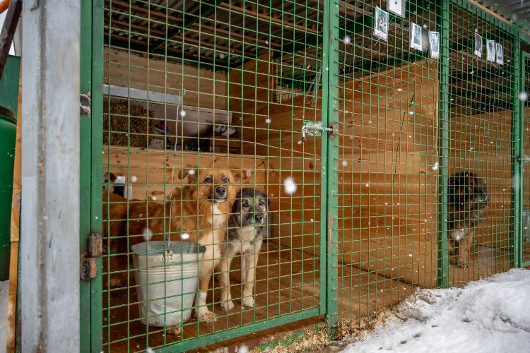    Фото: Юлия Федотова