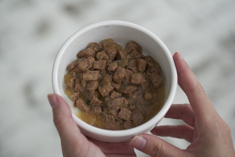 Влажный корм при МКБ: 7 популярных решений для здоровья кошки