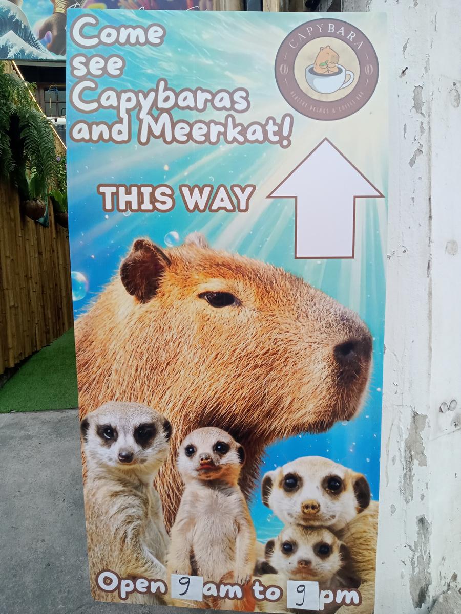 Фото автора. Кафе работает с 9 до 21 ч.