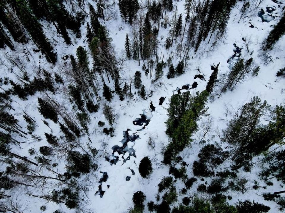    Северная граница Алтайского заповедника с высоты птичьего полета. Источник: Светлана Кульбацкая / Алтайский заповедник