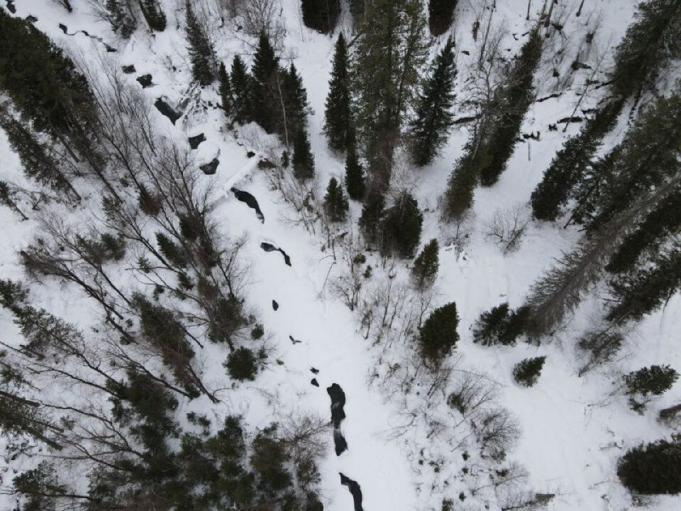    Северная граница Алтайского заповедника с высоты птичьего полета. Источник: Светлана Кульбацкая / Алтайский заповедник