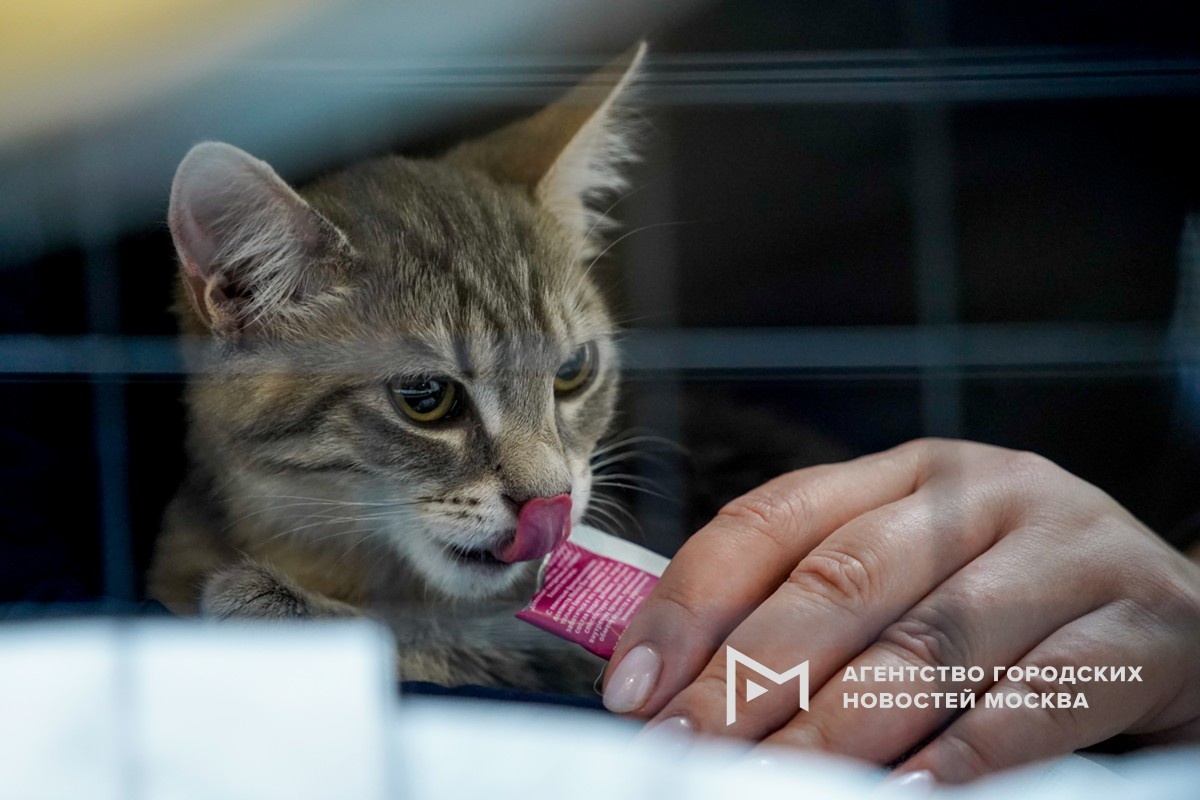 Фотограф: Александр Авилов