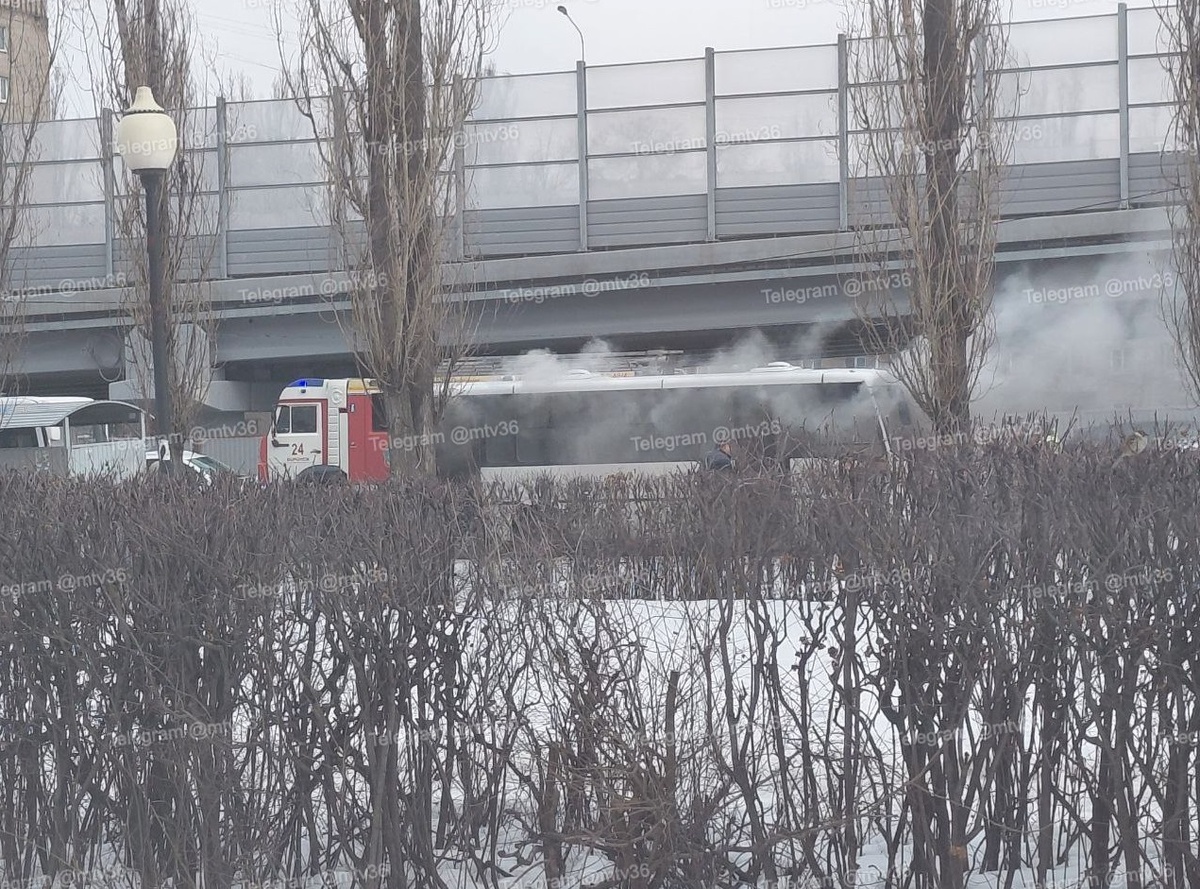     Фото: телеграм-канал «Мой и твой Воронеж»
