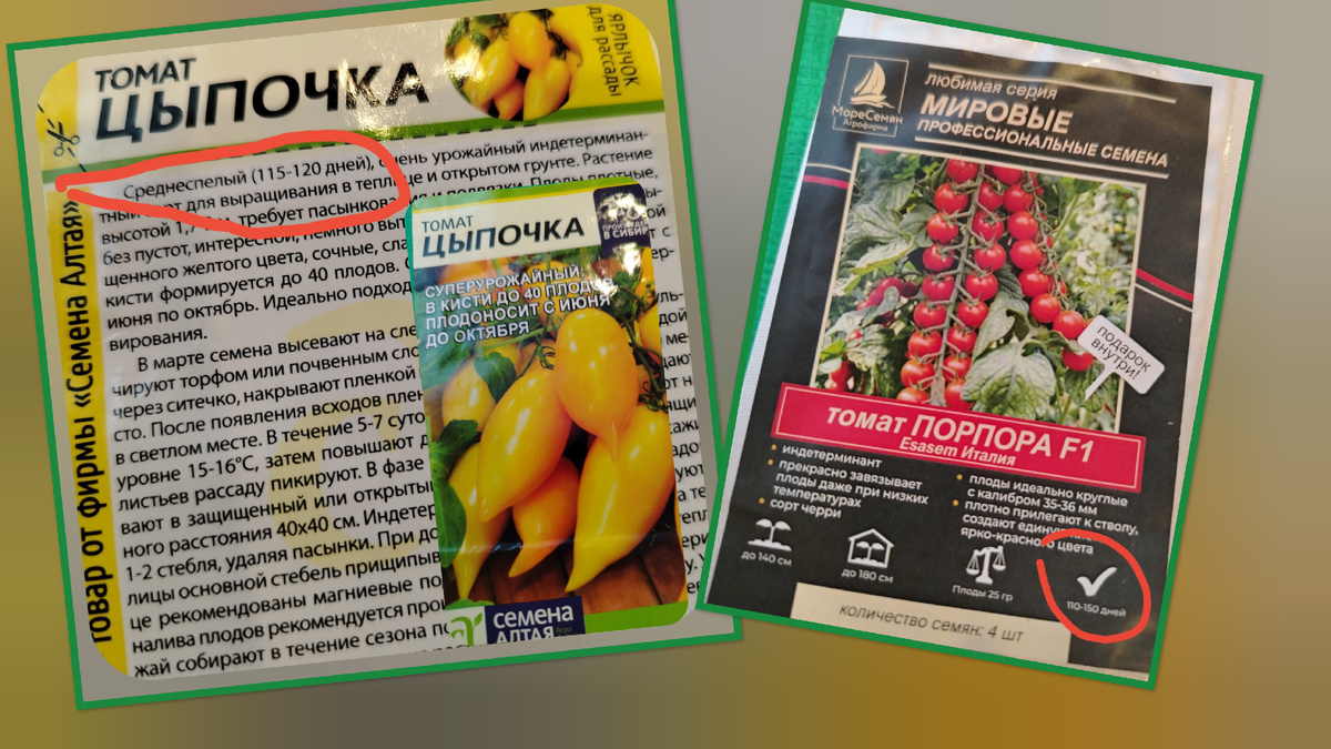 Основа для посадки- это сроки созревания томатов. /скриншот автора