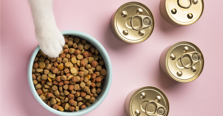 Виды кормов для кошек: как выбрать правильный рацион и не ошибиться