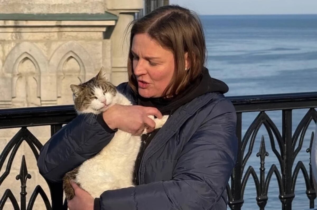    Крымская кошка Муся заняла третье место на международной премии