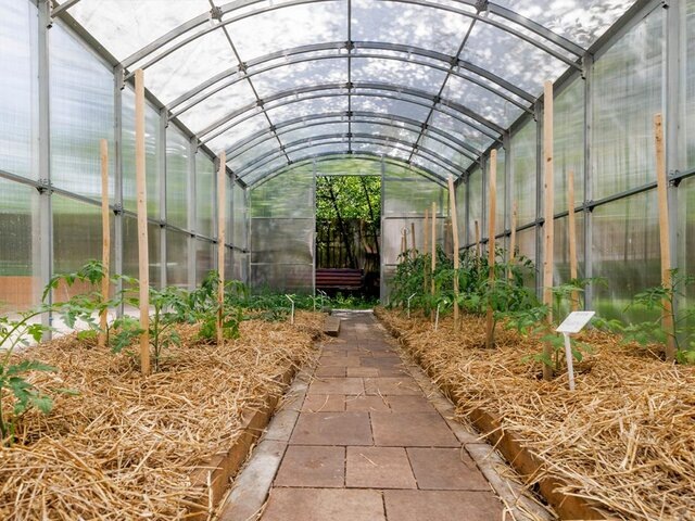    Фото: портал мэра и правительства Москвы/Олег Сосницкий