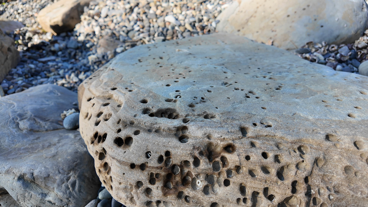 Стоп-кадр из нового видео. Видео прикреплено внизу статьи