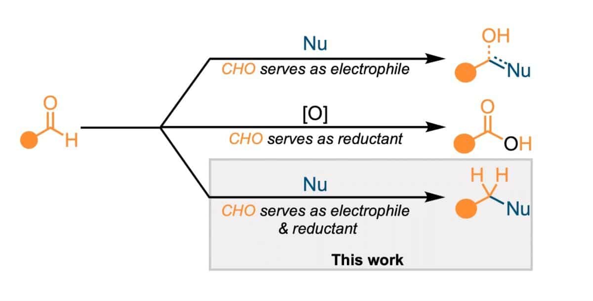    Реакционная активность альдегидов. Альдегиды могут выступать как электрофилы и как восстановители, в этой работе обе роли объединены в одной реакции / © Федор Клюев, пресс-служба НИУ ВШЭ
