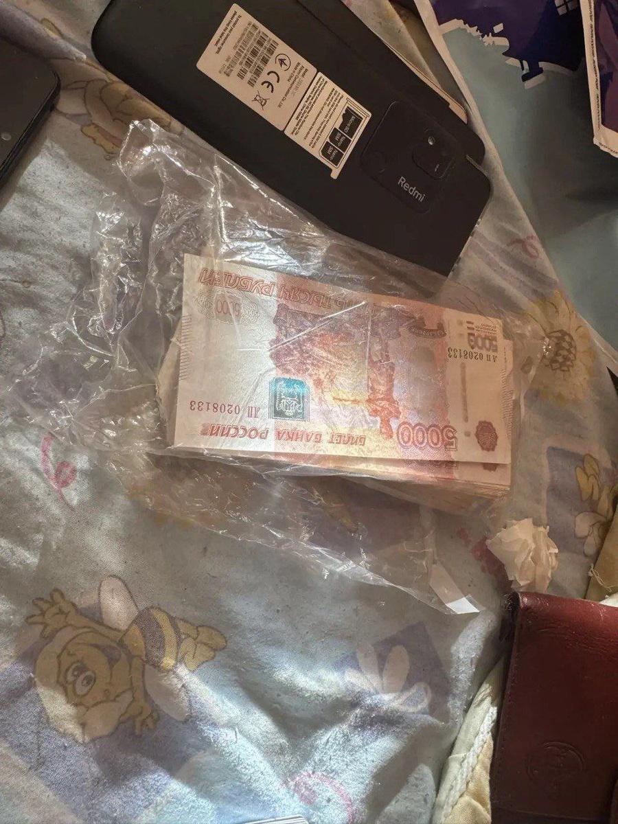    Обыск Мошенник