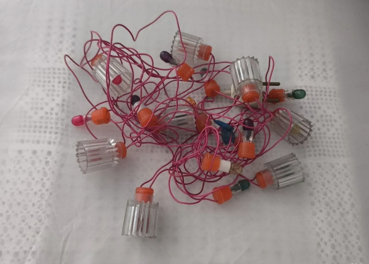 Фото 📷 автора