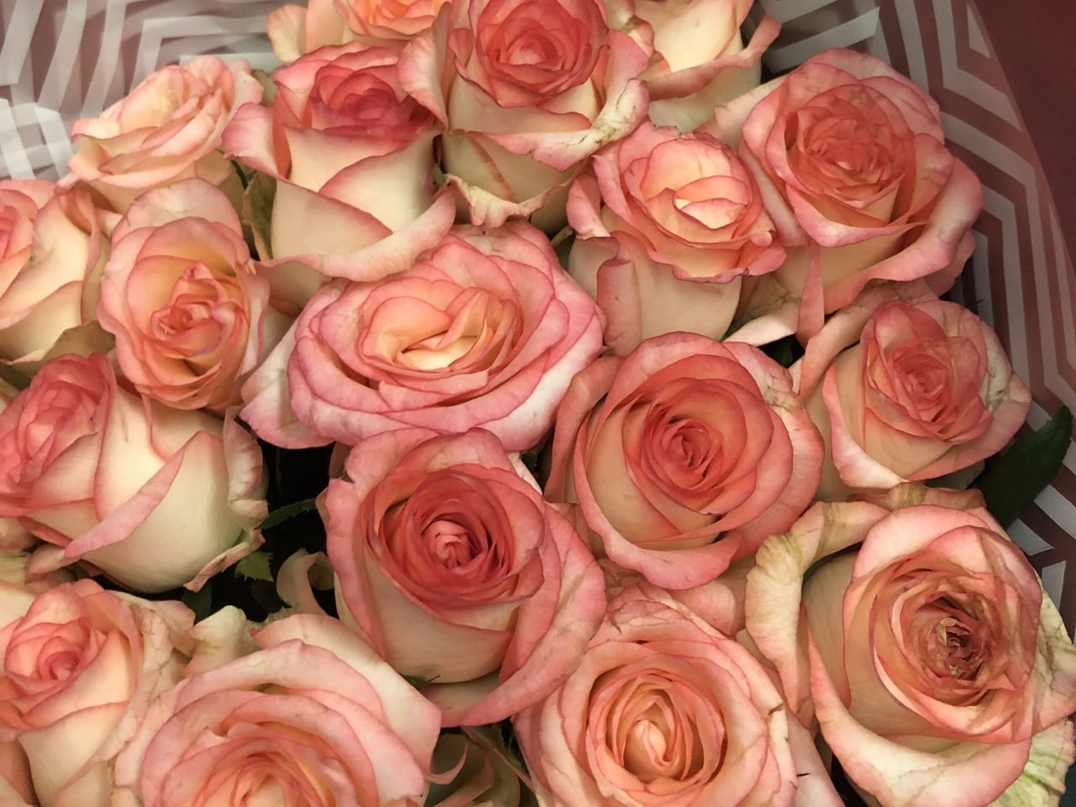 Фото: РБК Юг