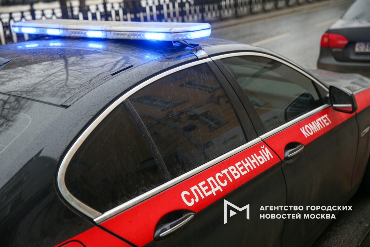 Фотограф: Василий Кузьмичёнок