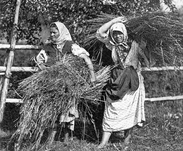 Взято из открытых источников интернета Яндекс.