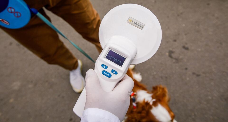    Медиасток.РФ