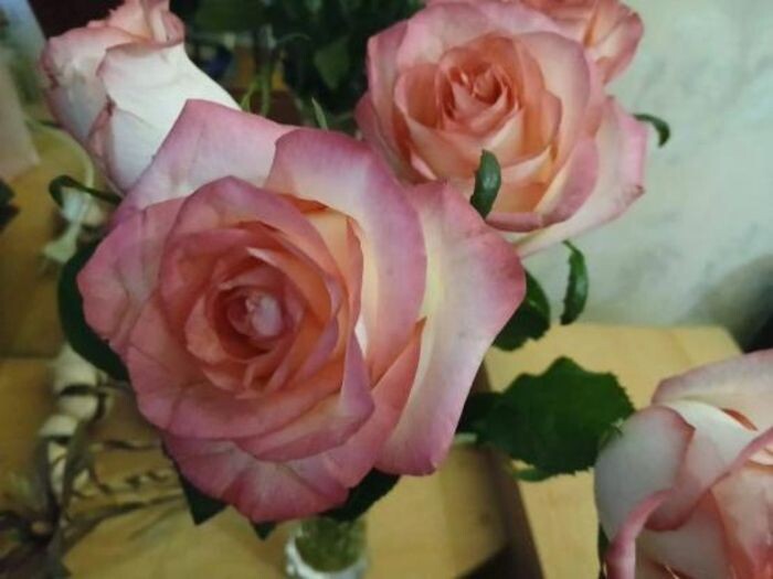 Иллюстрация: © «Панорама»