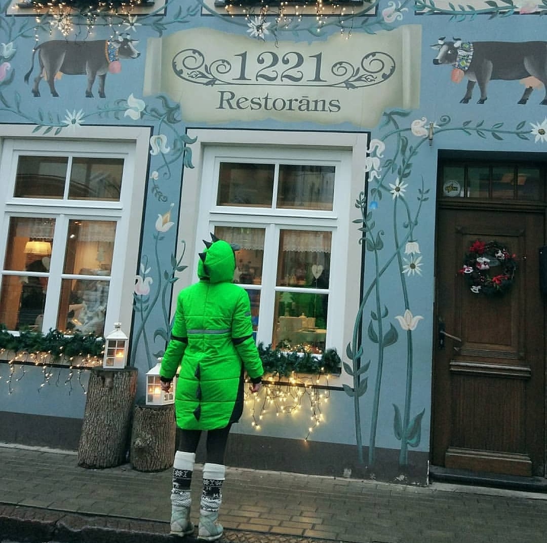 ДИНОкуртка вид сзади