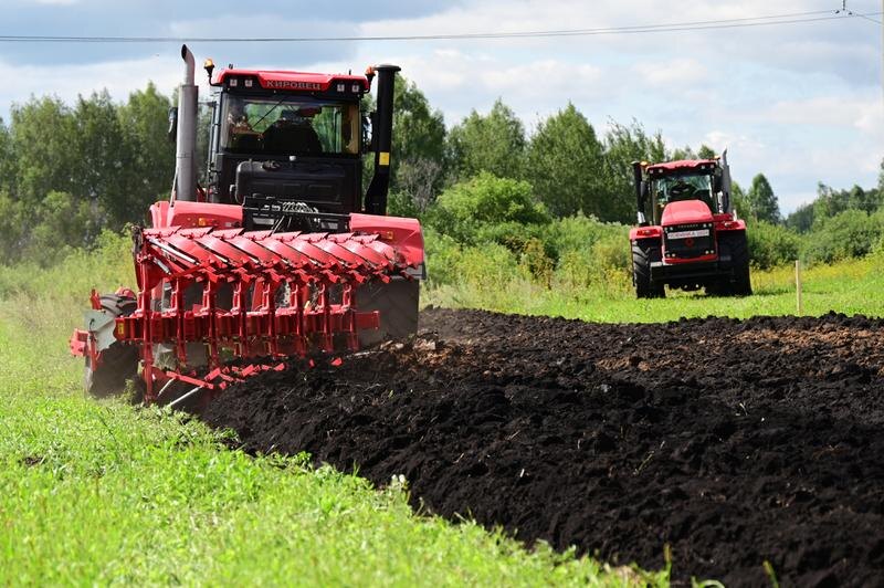 Фото: Павел Ворожцов, «Областная газета»