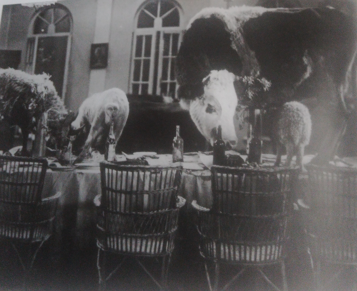 Кадр из к/ф "Веселые ребята"