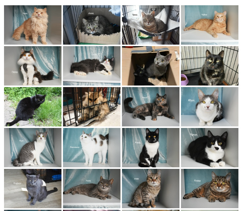 немножечко "январских" сюда попало