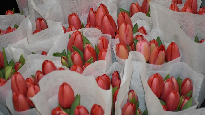    Фото: Omskinform.ru