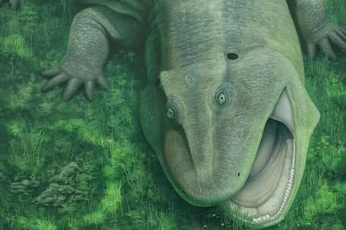    Иллюстрация, показывающая, как мог выглядеть Tanyka amnicola / © Vitor Silva, Eurek Alert