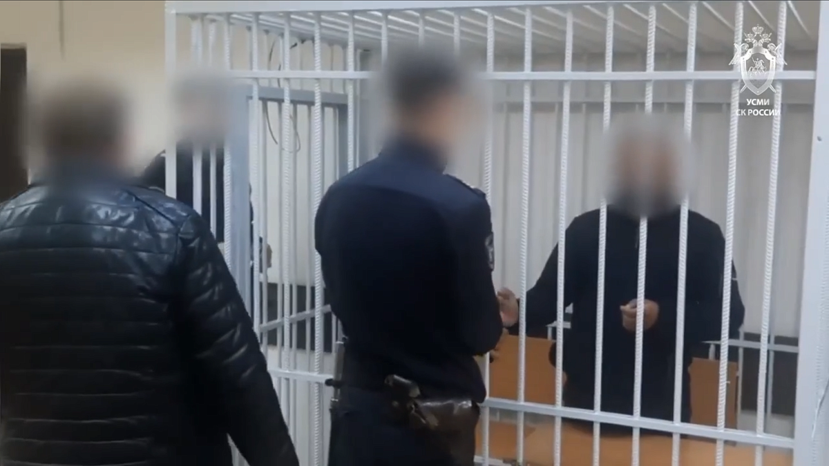    Фото: max.ru/sledcom_press