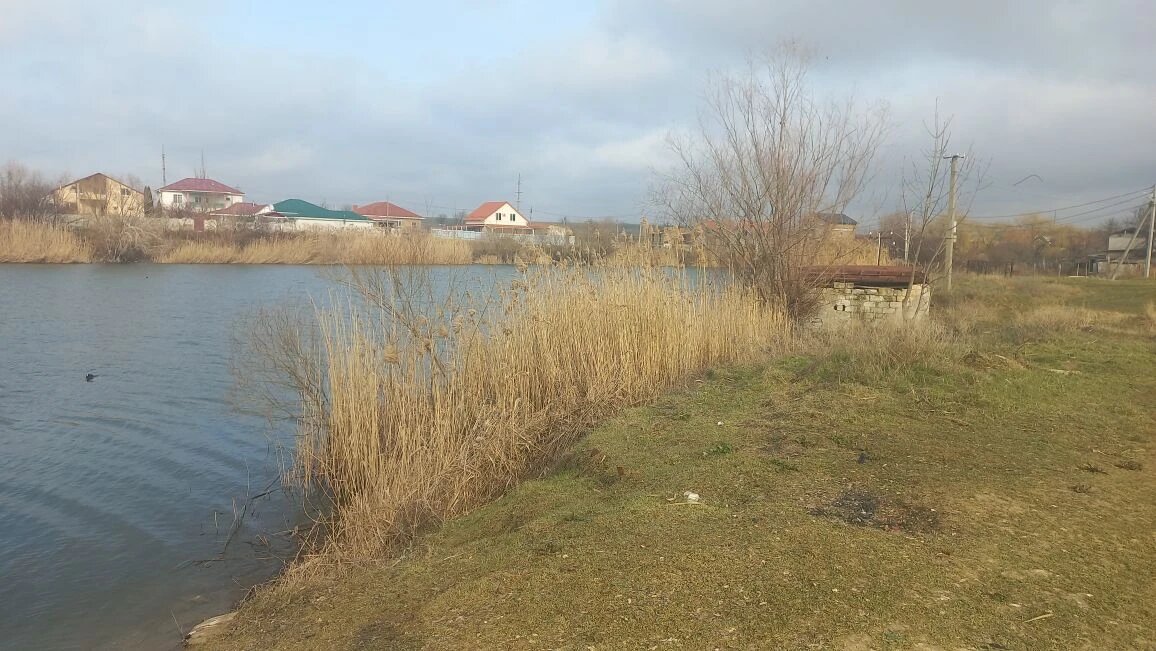 Даже природа в этот день какая-то сонная. День выдался пасмурный.