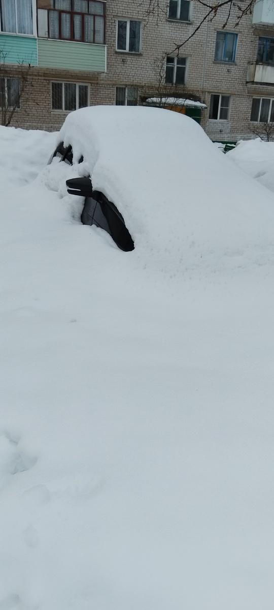 Просто весеннее, мартовское фото с нашего двора 