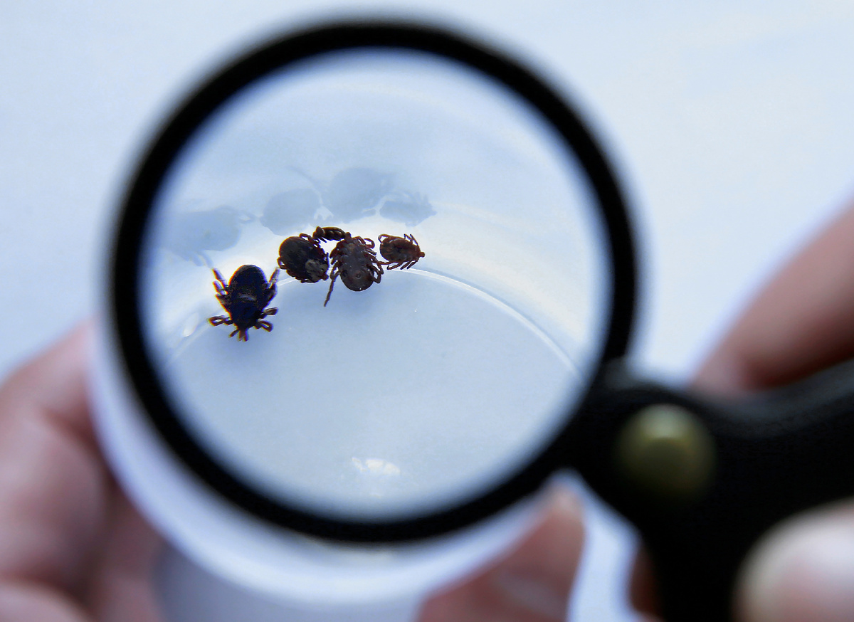 Фото: ТАСС/Матыцин Валерий