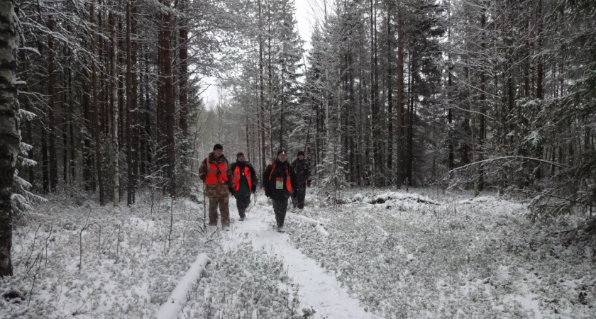    Фото поисково-спасательного отряда "ЛизаАлерт" Кировской области